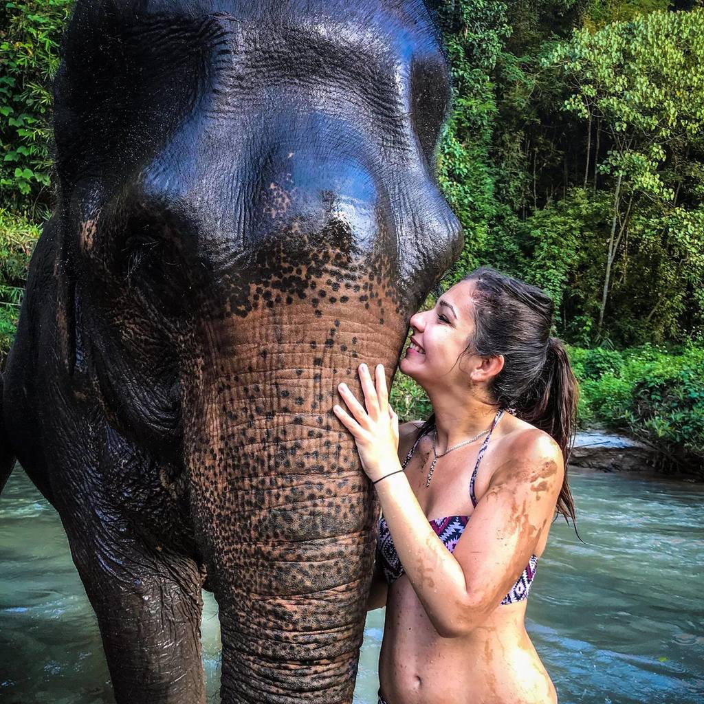 alexandra kozma elephant thailand